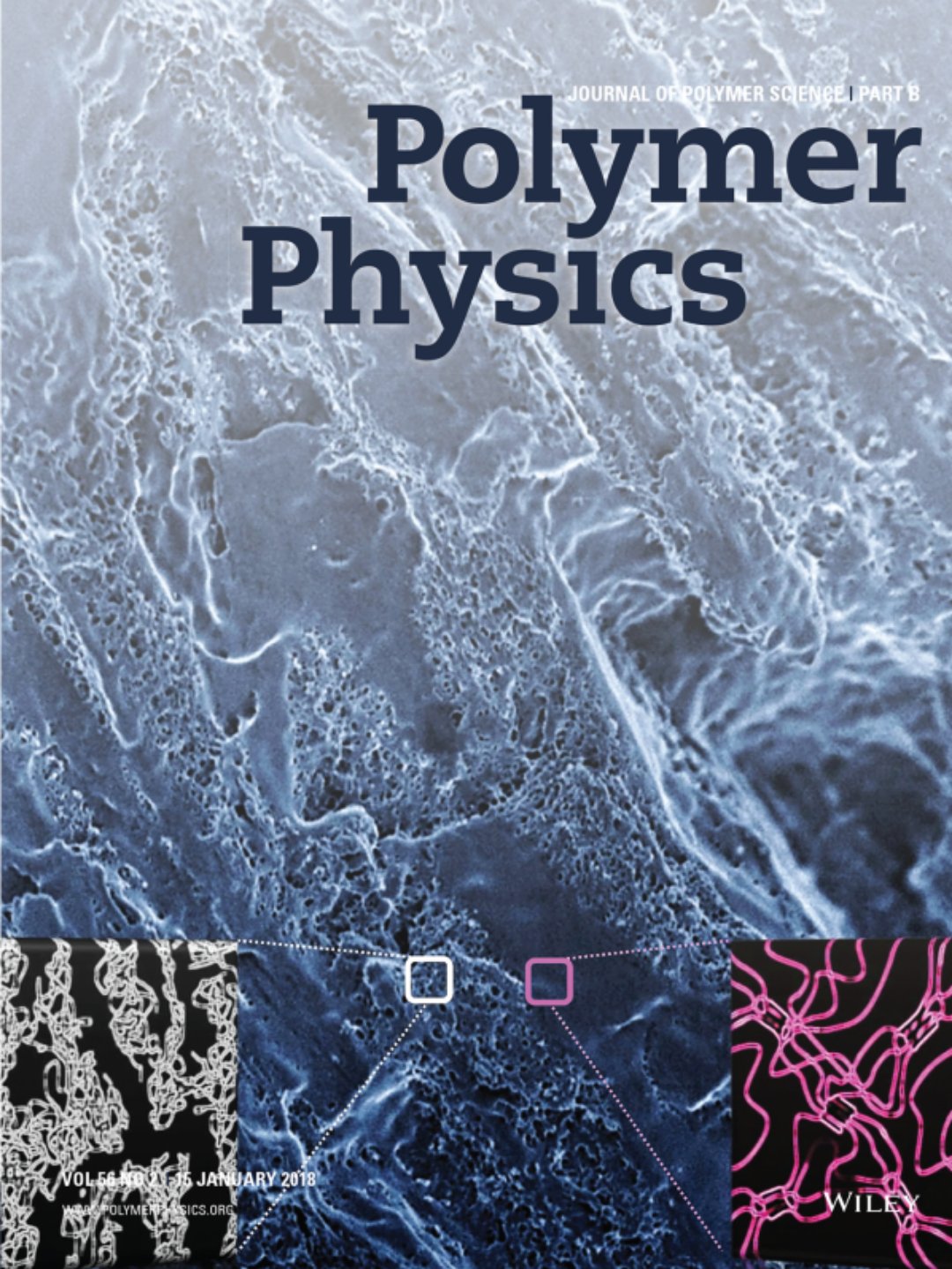 至今已发表文章（2019）