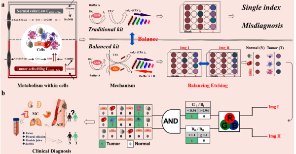 图1 逻辑门辅助平衡蚀刻试剂盒用于体液样品中肿瘤细胞诊断的示意图